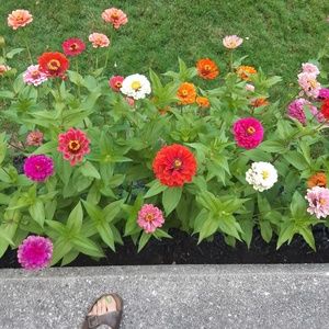 Meet your Posher, Alisha